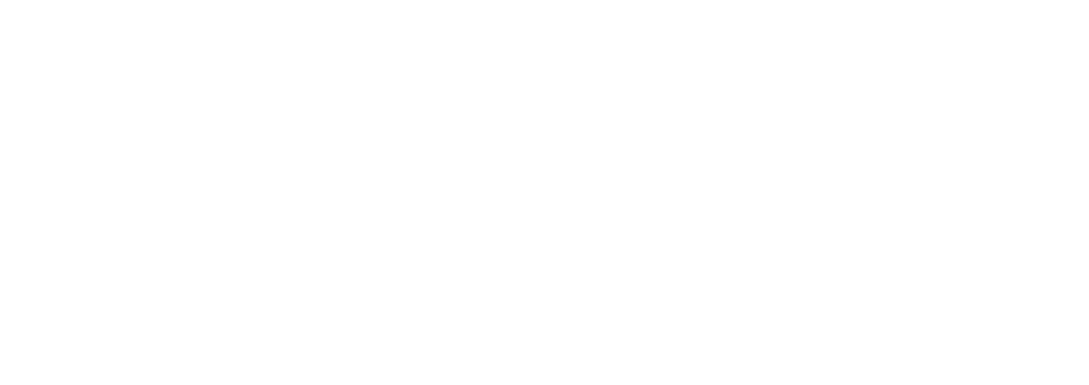 Acoustics Company