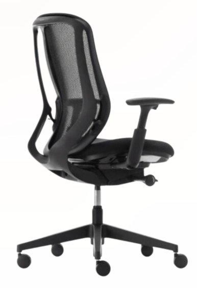 Sylphy ergonomic mesh-back task chair with adjustable arms